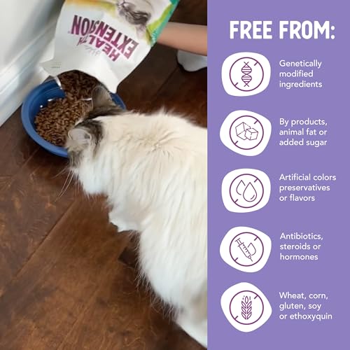 Comprehensive Review: Health Extension Cat Food Bundle - Image 6