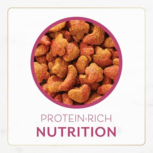 GYCO Filet Mignon Cat Food: A Purr-fectly Balanced Meal - Image 7