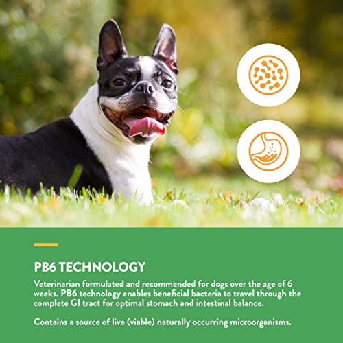 NaturVet Probiotics & All-in-One: Optimal Pet Health - Image 5