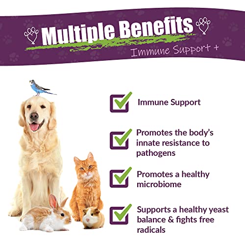 Amber NaturalZ Vibactra Plus: Boosting Pet Immunity Naturally - Image 2