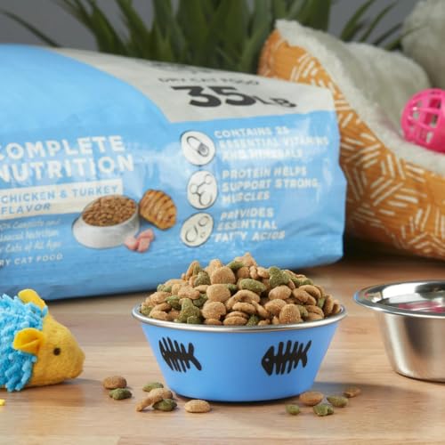 Ultimate Review: 35 lb Chicken & Turkey Cat Kibble Bonanza - Image 3