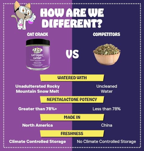 Unleash the Zoomies: Cat Crack Bulk Catnip Review - Image 5