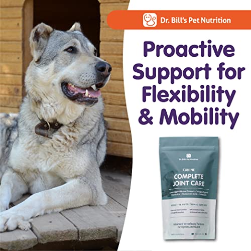Advanced Dog Joint Supplement for Mobility & Arthritis Relief by Dr. Bill's - Image 9