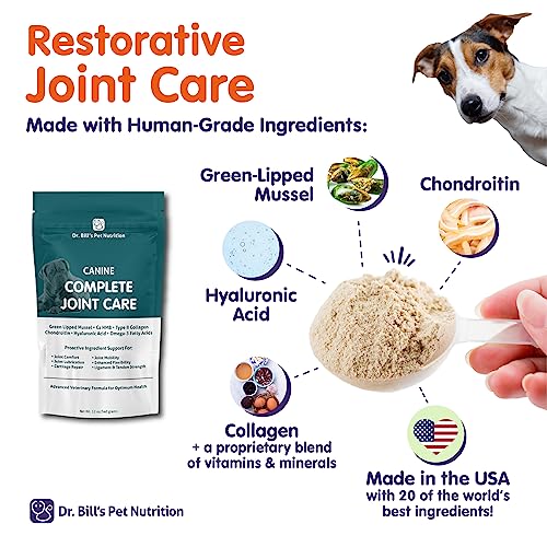 Advanced Dog Joint Supplement for Mobility & Arthritis Relief by Dr. Bill's - Image 8