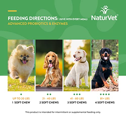 NaturVet Probiotics & All-in-One: Optimal Pet Health - Image 9
