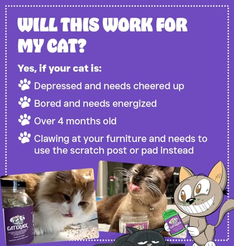 Unleash the Zoomies: Cat Crack Bulk Catnip Review - Image 4