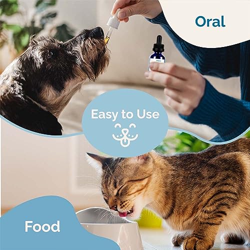 Boost Your Pet's Health with Respiratory Support Liquids - Image 8