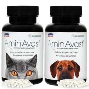 AminAvast Kidney Support Supplements for Dogs and Cats - Promotes Healthy Kidney Function and Vitality - Available in 300mg and 1000mg Capsules