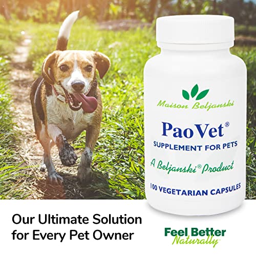 Comprehensive Review: PaoVet® Immune Support for Pets - Image 3