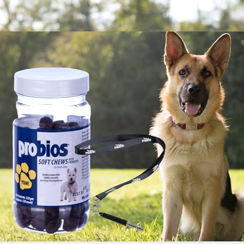 Probios Soft Chews + Clicker: Ultimate Dog Health Pack - Image 2
