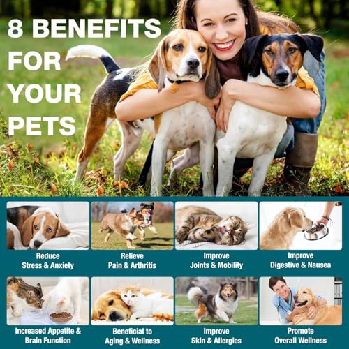 MaxHemp Pet Hemp Oil: The Ultimate Joint Pain & Stress Relief - Image 2