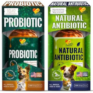 Natural Antibiotics for Dogs & Cats and Dog & Cat Probiotic | Dog Antibiotics | Probiotics for Cats | Antibiotics for Cats | Cat Probiotics for Indoor Cats | Dog Probiotic Supplements | Bundle