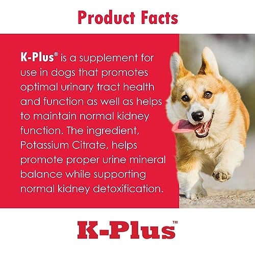 Comprehensive Review: K-Plus Renal Gel for Pets - Image 7
