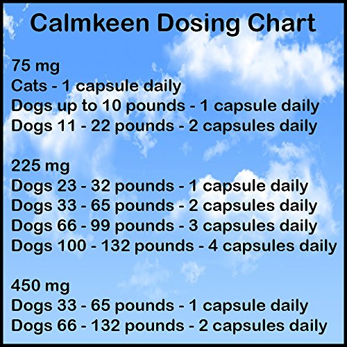 Calmkeen 225mg Review: A Stress Relief for Medium Dogs - Image 4