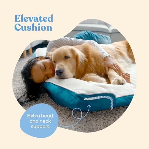 Orthopedic Dog Bed Medium Dogs: Comfy Memory Foam Sofa Bed with Neck Support - Image 4