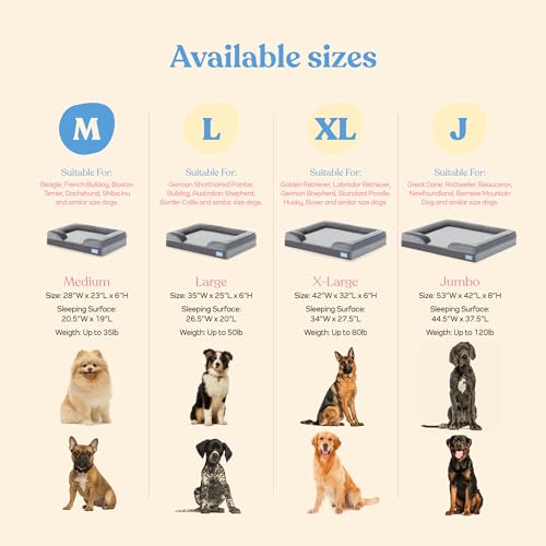 Orthopedic Dog Bed Medium Dogs: Comfy Memory Foam Sofa Bed with Neck Support - Image 5