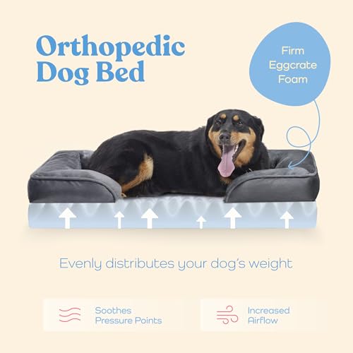 Orthopedic Dog Bed Medium Dogs: Comfy Memory Foam Sofa Bed with Neck Support - Image 3