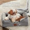 Cozy Cat Bed for Indoor Cats: Washable Bolster Pet Sofa with Waterproof Lining - Image 5