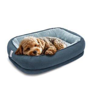Miguel Cat Beds for Indoor Cats, Small Dog Bed Orthopedic, Memory Foam Pet Bed Washable Removable Cover, Calming Puppy Bed with Sides, Dog Couch Comfort Sofa, Egg Foam Support, Blue 20 inches