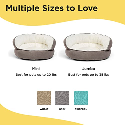 Orthopedic Pet Bed Mini Throne: Comfort for Cats and Dogs, Gray Support Cushion - Image 9