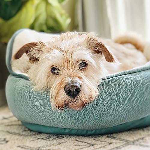 Orthopedic Pet Bed Mini Throne: Comfort for Cats and Dogs, Gray Support Cushion - Image 2