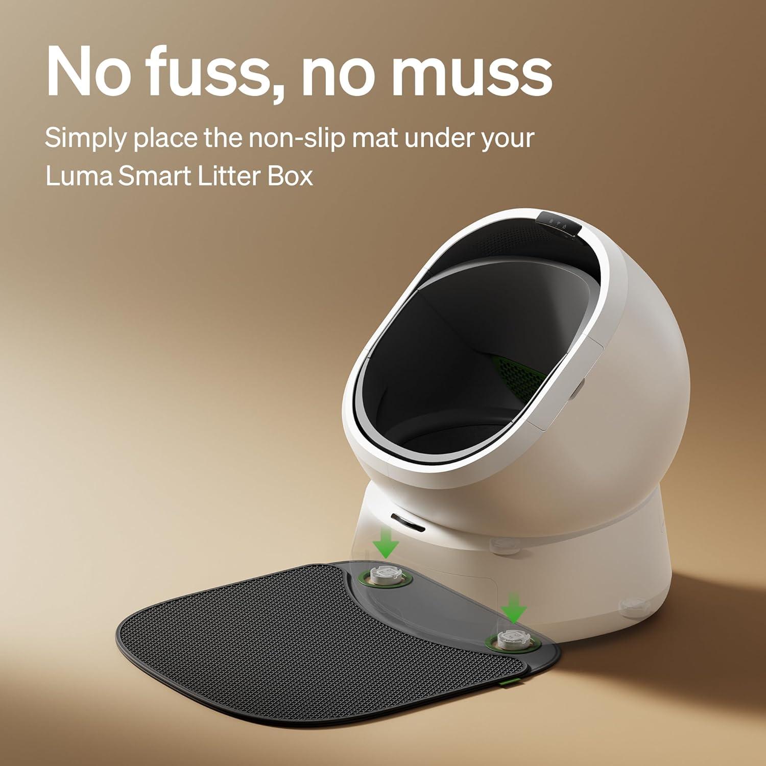 Cat-Tested Scratching Trees: What Your Feline Will Actually Use (2026)