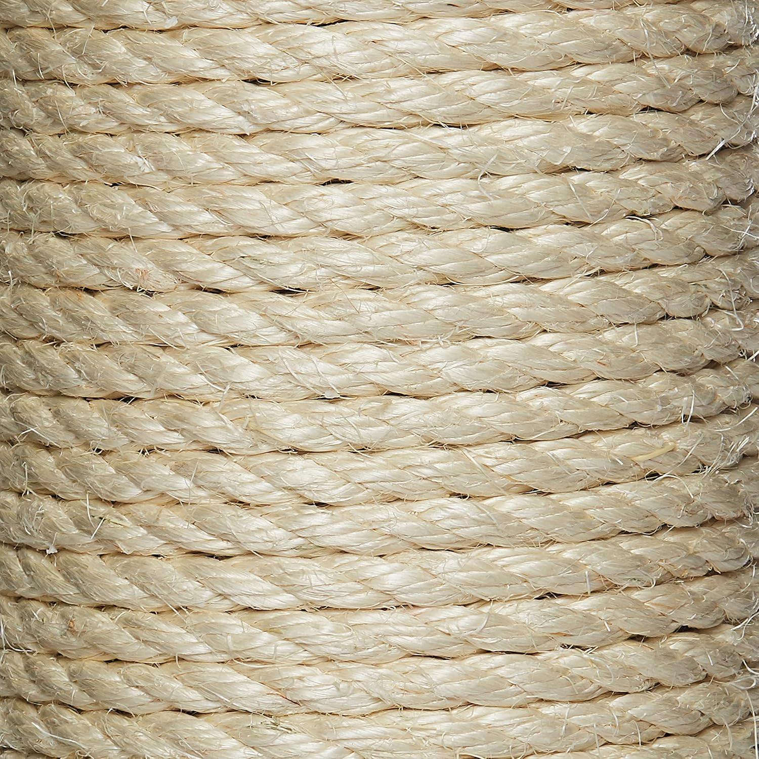 Premium Cat Beds: Feline-Tested Comfort for 2026