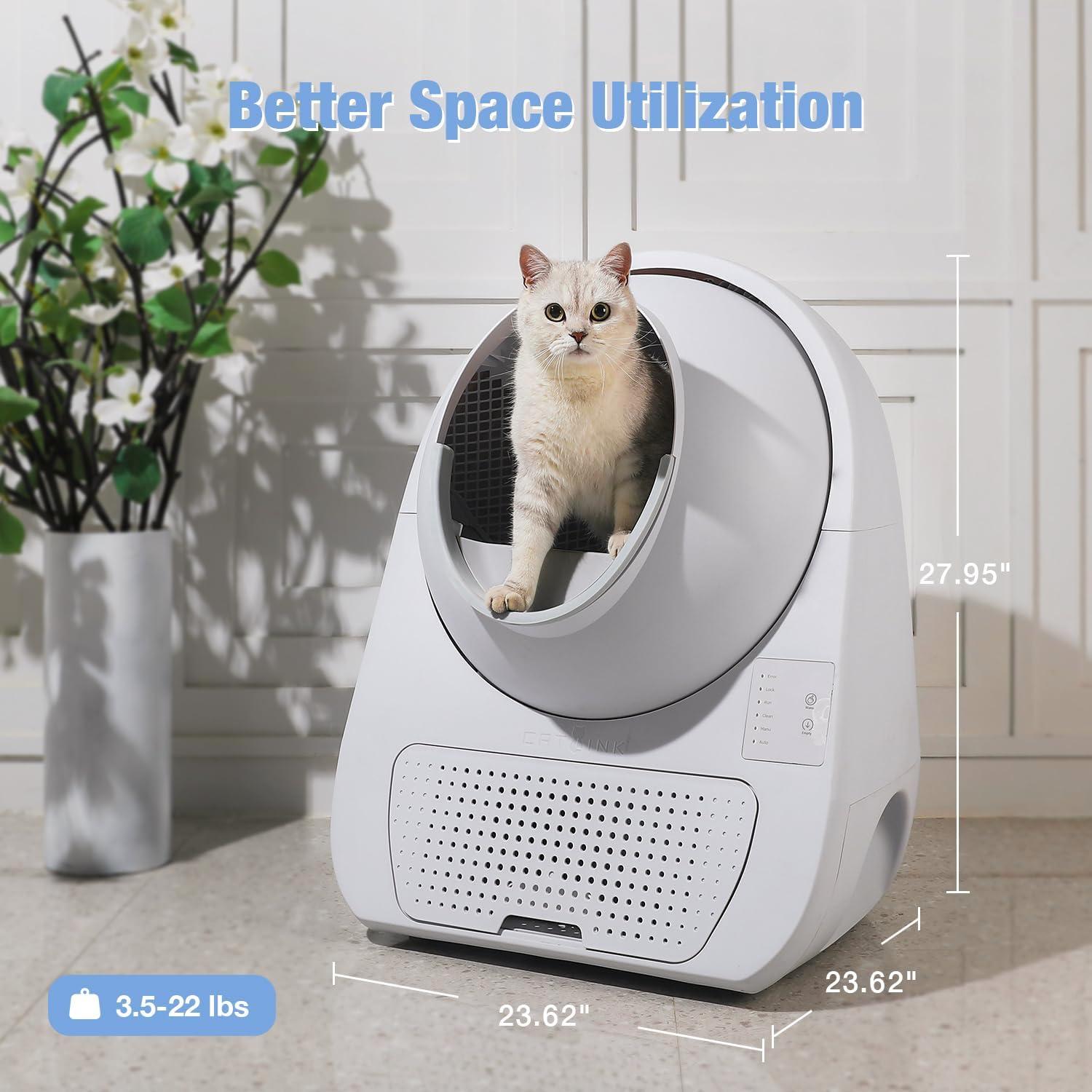 Top Cat scratching Posts: Feline-Tested for Happy Cats