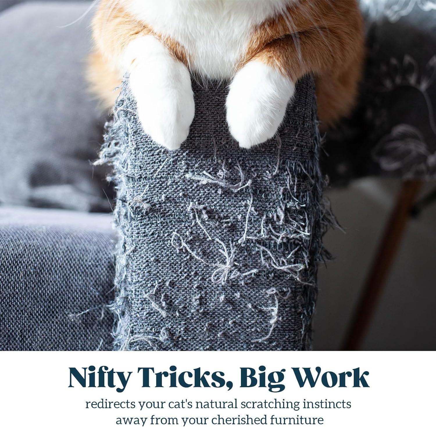 Cat Trees Tested by Real felines: 2026 Top Picks