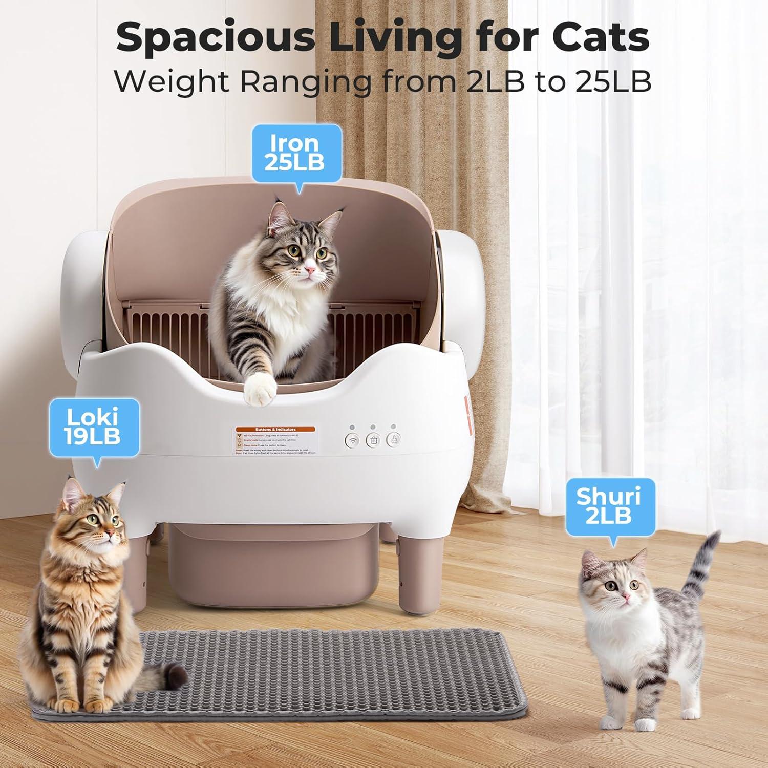 Cat-Approved Scratching Posts: Our 3-Month Review