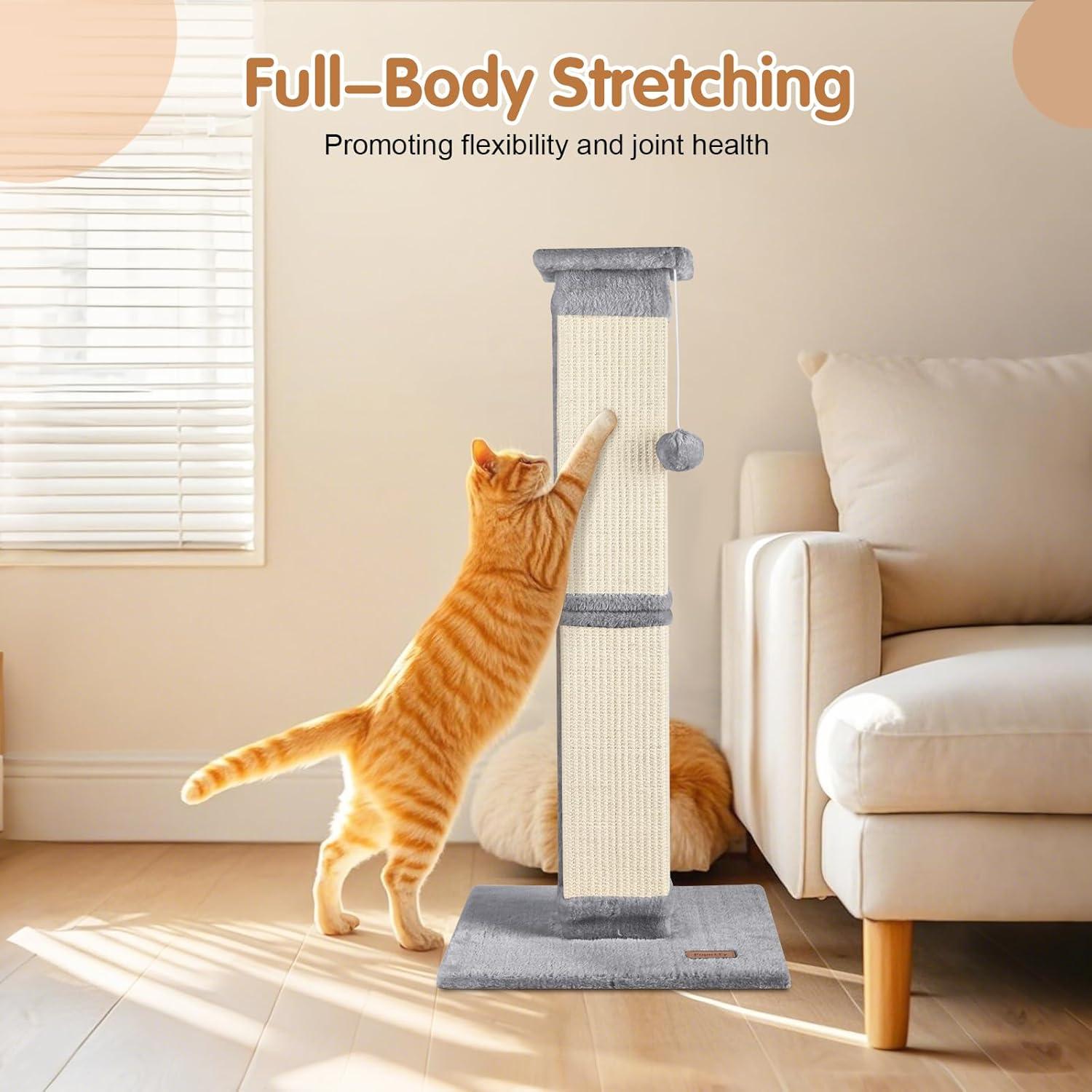 Cat-Approved Climbing Trees: Our⁤ 2026 Testing Results