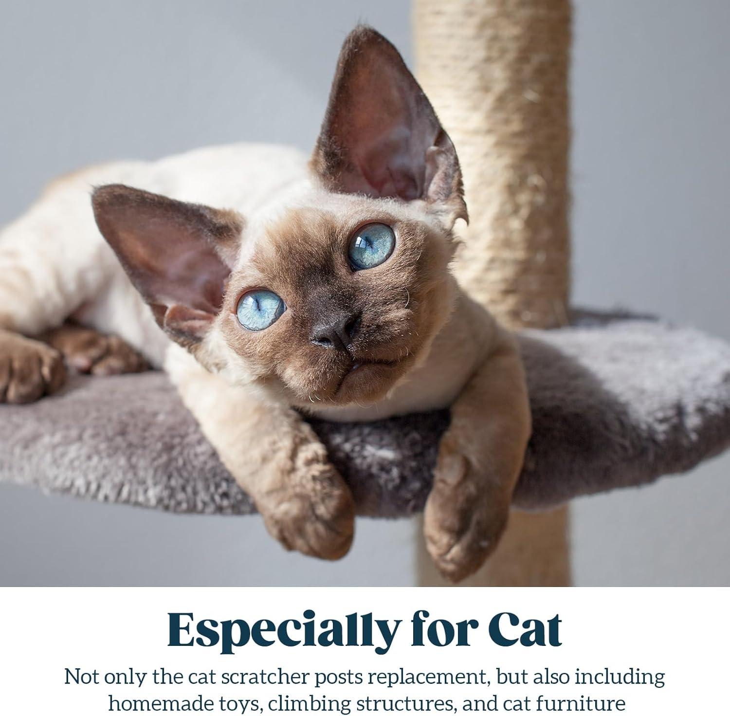 Cat Trees Tested by Real Felines: 2026 Top Picks